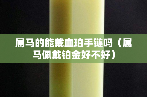 属马的能戴血珀手链吗（属马佩戴铂金好不好）