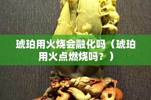 琥珀用火烧会融化吗（琥珀用火点燃烧吗？）