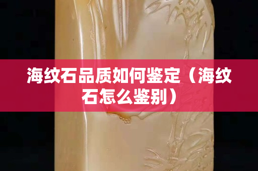 海纹石品质如何鉴定（海纹石怎么鉴别）