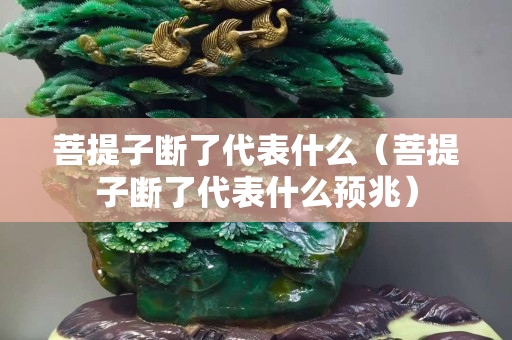 菩提子断了代表什么（菩提子断了代表什么预兆）