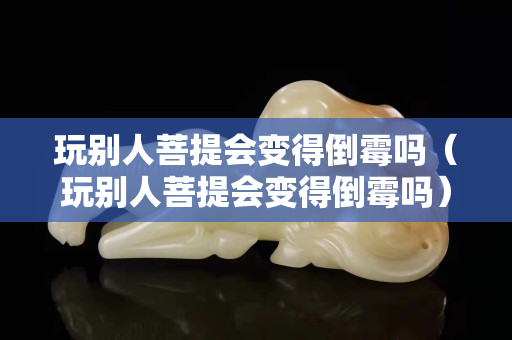 玩别人菩提会变得倒霉吗（玩别人菩提会变得倒霉吗）