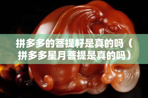 拼多多的菩提籽是真的吗（拼多多星月菩提是真的吗）