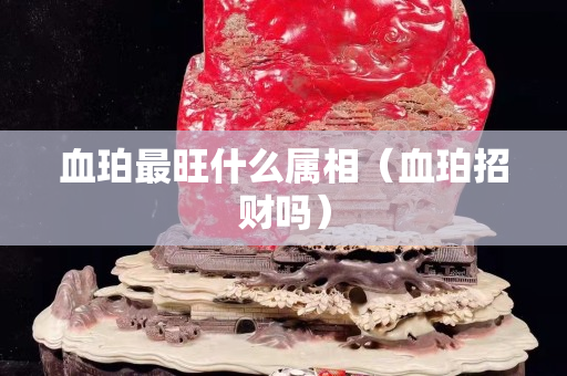 血珀最旺什么属相（血珀招财吗）