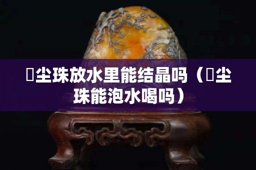 雮尘珠放水里能结晶吗（雮尘珠能泡水喝吗）