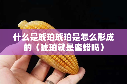 什么是琥珀琥珀是怎么形成的（琥珀就是蜜蜡吗）
