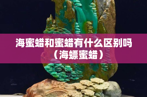 海蜜蜡和蜜蜡有什么区别吗（海螵蜜蜡）