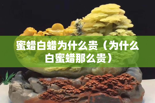 蜜蜡白蜡为什么贵（为什么白蜜蜡那么贵）