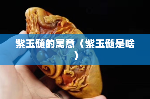 紫玉髓的寓意（紫玉髓是啥）