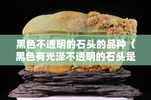 黑色不透明的石头的品种（黑色有光泽不透明的石头是什么石头）