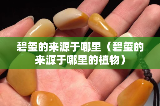 碧玺的来源于哪里（碧玺的来源于哪里的植物）