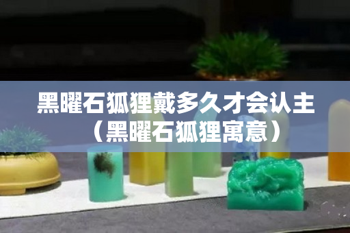 黑曜石狐狸戴多久才会认主（黑曜石狐狸寓意）