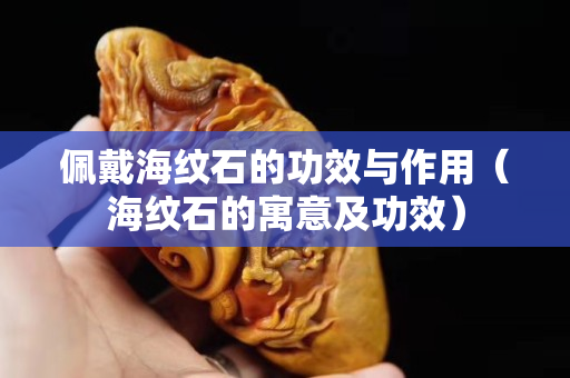 佩戴海纹石的功效与作用（海纹石的寓意及功效）
