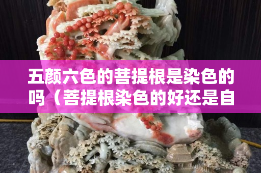 五颜六色的菩提根是染色的吗（菩提根染色的好还是自然的好）