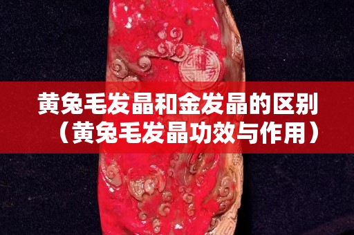 黄兔毛发晶和金发晶的区别（黄兔毛发晶功效与作用）