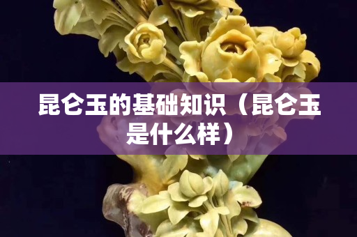 昆仑玉的基础知识（昆仑玉是什么样）