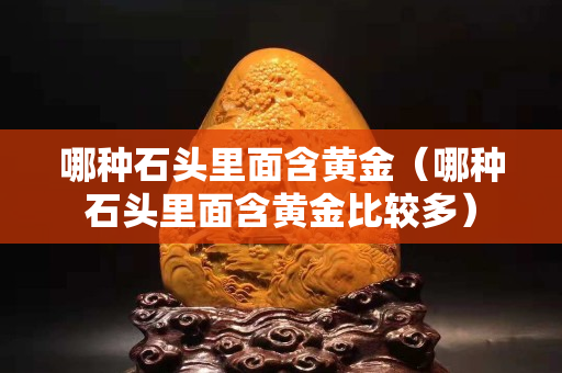 哪种石头里面含黄金（哪种石头里面含黄金比较多）
