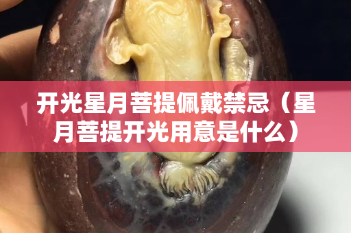 开光星月菩提佩戴禁忌（星月菩提开光用意是什么）