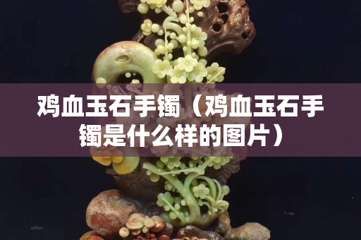 鸡血玉石手镯（鸡血玉石手镯是什么样的图片）