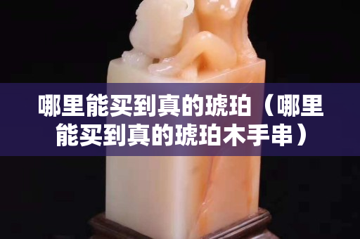哪里能买到真的琥珀（哪里能买到真的琥珀木手串）