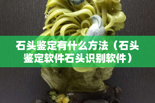 石头鉴定有什么方法（石头鉴定软件石头识别软件）
