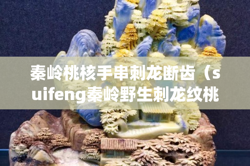 秦岭桃核手串刺龙断齿（suifeng秦岭野生刺龙纹桃核霸王龙文玩桃胡手串）