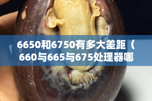 6650和6750有多大差距（660与665与675处理器哪个好）