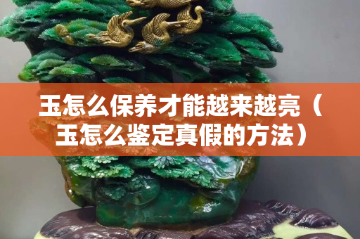 玉怎么保养才能越来越亮（玉怎么鉴定真假的方法）