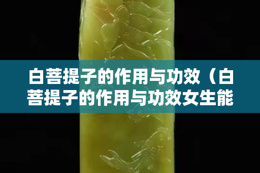 白菩提子的作用与功效（白菩提子的作用与功效女生能不能生孩子带）