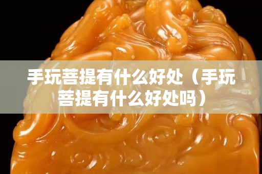 手玩菩提有什么好处（手玩菩提有什么好处吗）