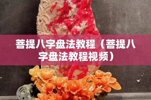 菩提八字盘法教程（菩提八字盘法教程视频）