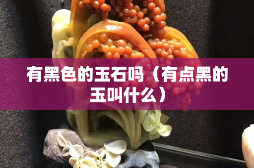 有黑色的玉石吗（有点黑的玉叫什么）