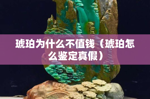 琥珀为什么不值钱（琥珀怎么鉴定真假）