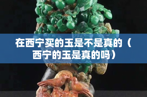 在西宁买的玉是不是真的（西宁的玉是真的吗）