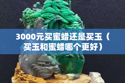 3000元买蜜蜡还是买玉（买玉和蜜蜡哪个更好）
