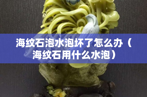 海纹石泡水泡坏了怎么办（海纹石用什么水泡）