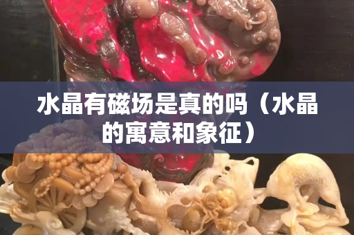 水晶有磁场是真的吗（水晶的寓意和象征）