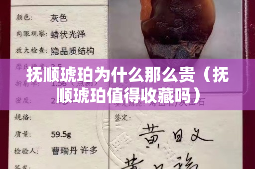 抚顺琥珀为什么那么贵（抚顺琥珀值得收藏吗）
