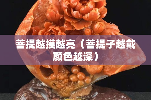 菩提越摸越亮（菩提子越戴颜色越深）
