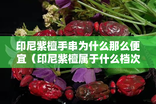 印尼紫檀手串为什么那么便宜（印尼紫檀属于什么档次）