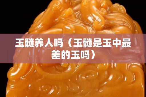 玉髓养人吗（玉髓是玉中最差的玉吗）