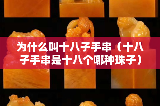 为什么叫十八子手串（十八子手串是十八个哪种珠子）