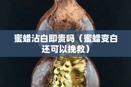蜜蜡沾白即贵吗（蜜蜡变白还可以挽救）