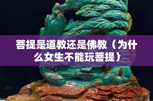 菩提是道教还是佛教（为什么女生不能玩菩提）