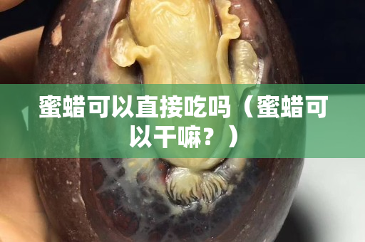 蜜蜡可以直接吃吗（蜜蜡可以干嘛？）