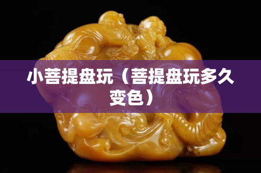 小菩提盘玩（菩提盘玩多久变色）