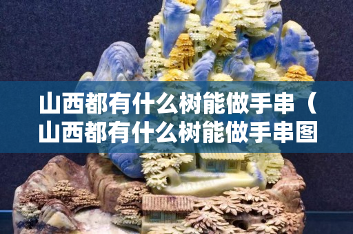 山西都有什么树能做手串（山西都有什么树能做手串图片）