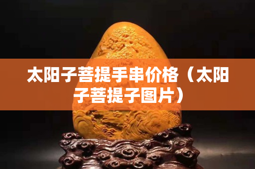 太阳子菩提手串价格（太阳子菩提子图片）