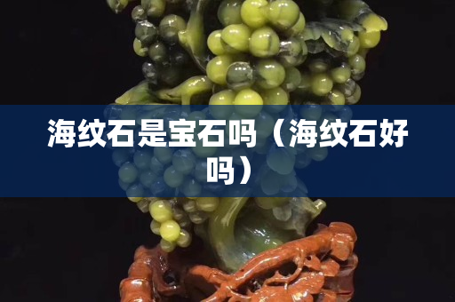 海纹石是宝石吗（海纹石好吗）