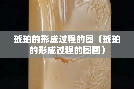 琥珀的形成过程的图（琥珀的形成过程的图画）
