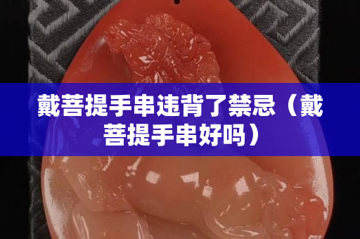 戴菩提手串违背了禁忌（戴菩提手串好吗）